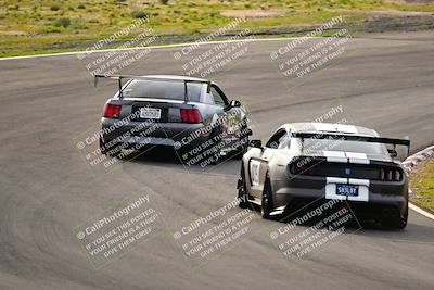 media/Feb-25-2024-Speed Ventures (Sun) [[b9a2a97a4d]]/Mustang Drivers Club/Session 1 (Turns 4 and 5)/